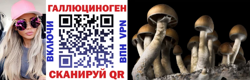 Купить закладки  Красный Сулин  Галлюциногенные грибы прущие грибы 